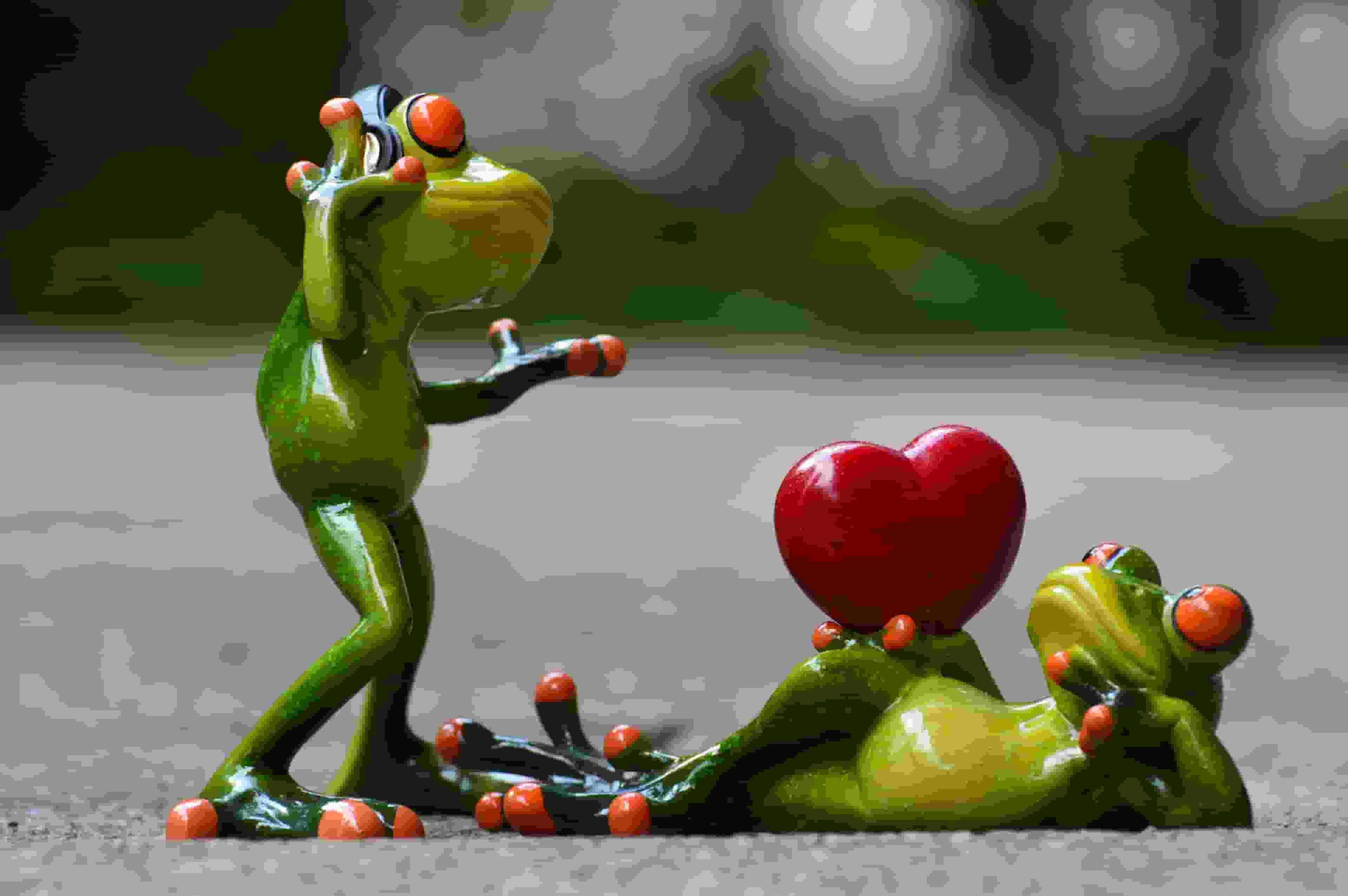 מיקרופונים להופעות: המדריך המלא לקול נקי וחזק